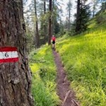 Auf dem Wandersteig Nr. 6 zum Le de Rit