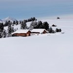 Wie aus dem Bilderbuch präsentiert sich die Winterlandschaft am Würzjoch