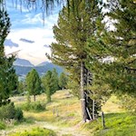 Durch schöne Almwiesen zur Rinderplatz Hütte