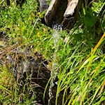 Erfrischende Abkühlung am Weg zur Grente Alm