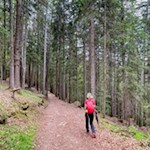 Durch Wald und Wiesen in Richtung Tomanegger