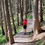 Alternativ zur hier vorgeschlagenen Route kann man auch auf dem höher gelegenen Weg 1A zur Frommer Alm zurückkehren