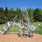 Riesenlibelle auf dem Urlesteig