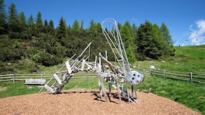 Riesenlibelle auf dem Urlesteig