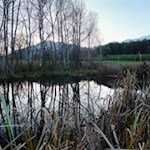 Biotop Sommersürs zwischen Viums und Natz