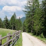 Zunächst steigt der Weg sanft durch malerische Wiesen an