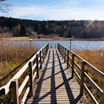 Am glitzernden Fennberger See