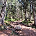 Im steten Anstieg zur Wurzeralm