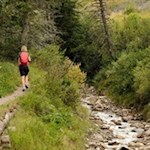 Sanft führt der Zirbelkieferweg durch die abgeschiedene Landschaft