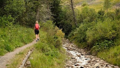 Sanft führt der Zirbelkieferweg durch die abgeschiedene Landschaft