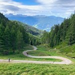 Sanft schlängelt sich der Weg zur Plattner Alm