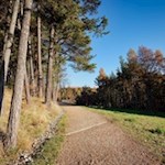 Die sanften Wege eignen sich bestens für Ausflüge mit dem Kinderwagen