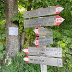 Der Hinweg zur Petersberger Leger Alm ist mit 0:40 h ausgeschildert