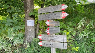 Der Hinweg zur Petersberger Leger Alm ist mit 0:40 h ausgeschildert