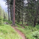 Im steten Anstieg windet sich der Weg auf den Kellerkopf