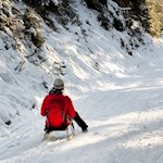 Einige fahren auch mit der Rodel zu Tale