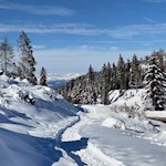 Durch winterlichen Wald und Wiesen zu den Latemarwiesen