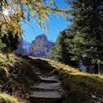 Die Lärchen tragen bereits ihr gelbes Herbstkleid...