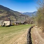 Vom Ansitz Lusenegg führt der Wanderweg Nr. 5A zurück nach Albions