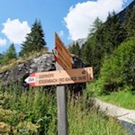 Den Rückweg von der Schwarzbachalm treten wir auf dem Hinweg an