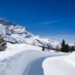 Sanft schlängelt sich der Winterweg durch die Plätzwiese