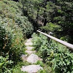 Kleine Steintreppe auf dem Weg zur Klausner Hütte