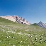 Auf dem Weg Nr. 13 nähern wir uns zusehends den Felswänden der Antoniusspitze