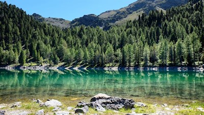Am von Felsen, Bäumen und Wiesen umrahmten Schrüttensee
