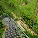 Auf dem liebevoll angelegten Steig zur Seeburg