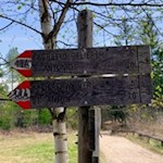 Vom Völser Weiher folgen wir dem Weg Nr. 13A nach St. Anton