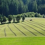 Durch gepflegte Wiesen zur Schwarzbachalm