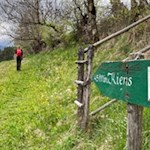 Von St. Martin folgen wir weiterhin dem Weg Nr. 7A nach Kiens