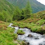 Behäbig plätschert der Winnebach ins Tal