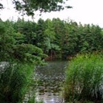 Der beschauliche Vahrner See wird von Wald und Schilf umrahmt