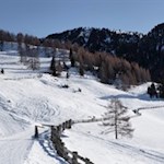 Sanft schlängelt sich der Weg durch die bezaubernde Winterlandschaft zur Getrumalm