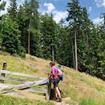 Der letzte Anstieg zur Weizgruberalm führt durch waldumrahmte Almwiesen