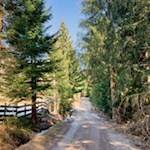 Im sanften Anstieg von Tann Richtung Loden 