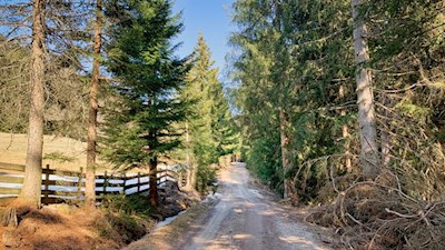 Im sanften Anstieg von Tann Richtung Loden 