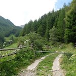 Am linken Straßenrand zweigt alsbald der Weg Nr. 19 zur Weitenbergalm ab