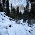 Durch den Wald zum Mitterleger