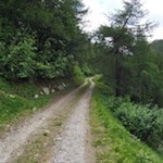 Im angenehmen Anstieg zur Tschiffernaun Alm