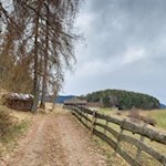 Sanft zieht sich der Weg nach Völser Aicha