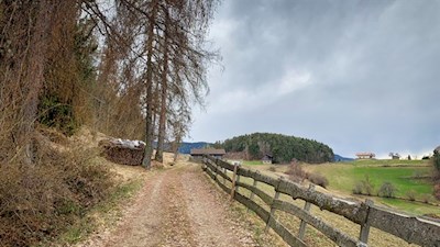 Sanft zieht sich der Weg nach Völser Aicha