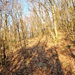 Durch das raschelnde Herbstlaub in Richtung Virgl