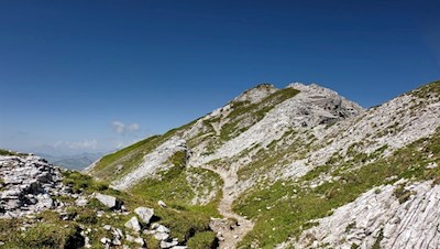 Der helle Trias-Dolomit verleiht den Telfer Weißen ihre unverkennbare Form