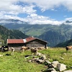 An der Oberen Entholzalm vorbei auf das Ratschinger Kreuz