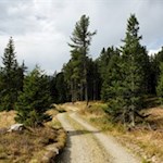 „Wer die Kostbarkeit des Augenblicks entdeckt, findet das Glück des Alltags.“ (Adalbert Stifter)