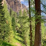 Hiking to Croda da Lago moutain hut