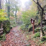 Auf dem Weg zum Verenakirchl