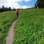 Wo im Winter zahlreiche Skifahrer über die Hänge gleiten, schlängelt sich im Sommer ein Wanderpfad auf den Kronplatz